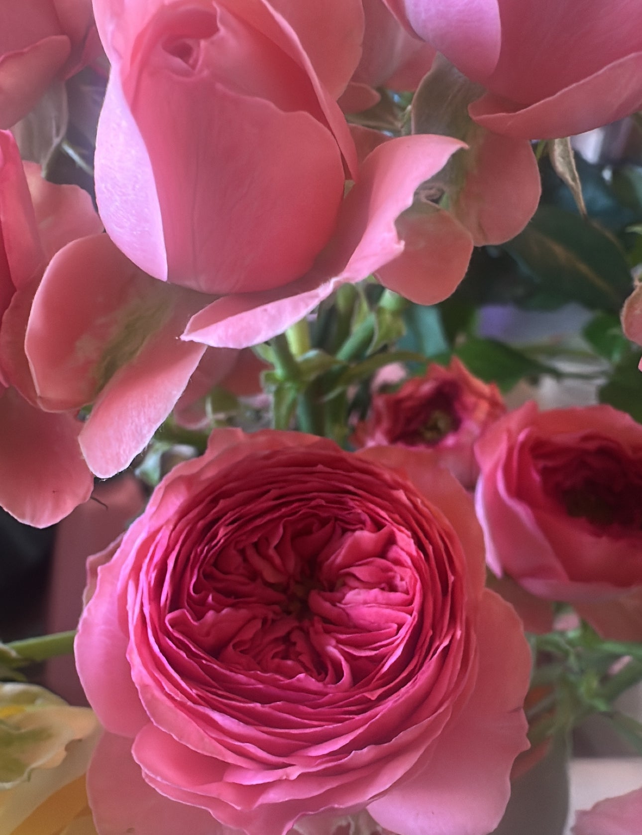 1827A6A5-060A-4ACE-9C18-F9E3C9AAE345.jpg