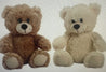 Teddy