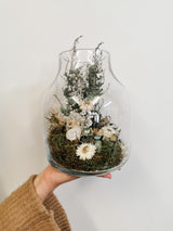 Dried Terrarium