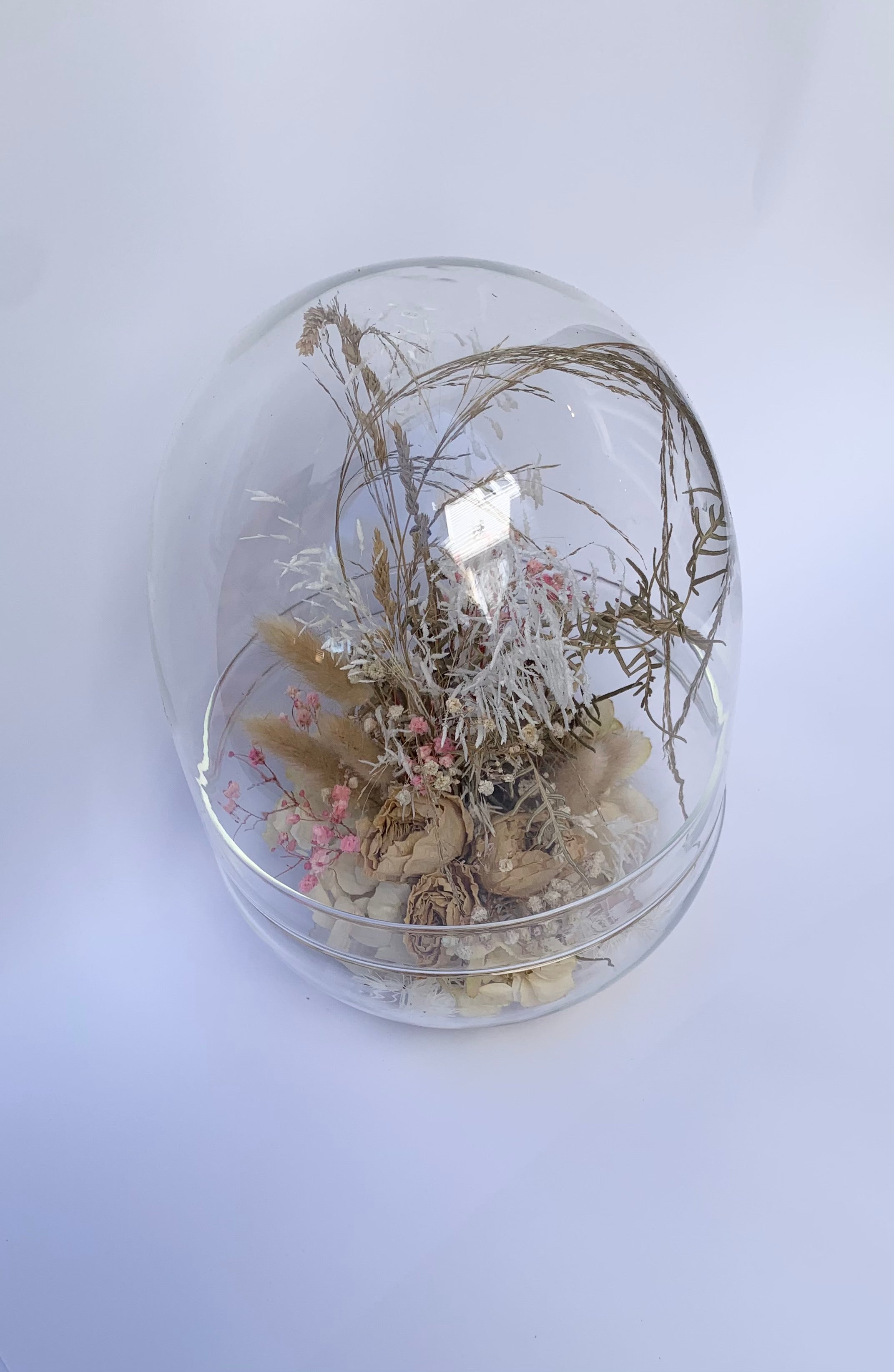 Glass Garden Dome