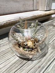 Dried Terrarium