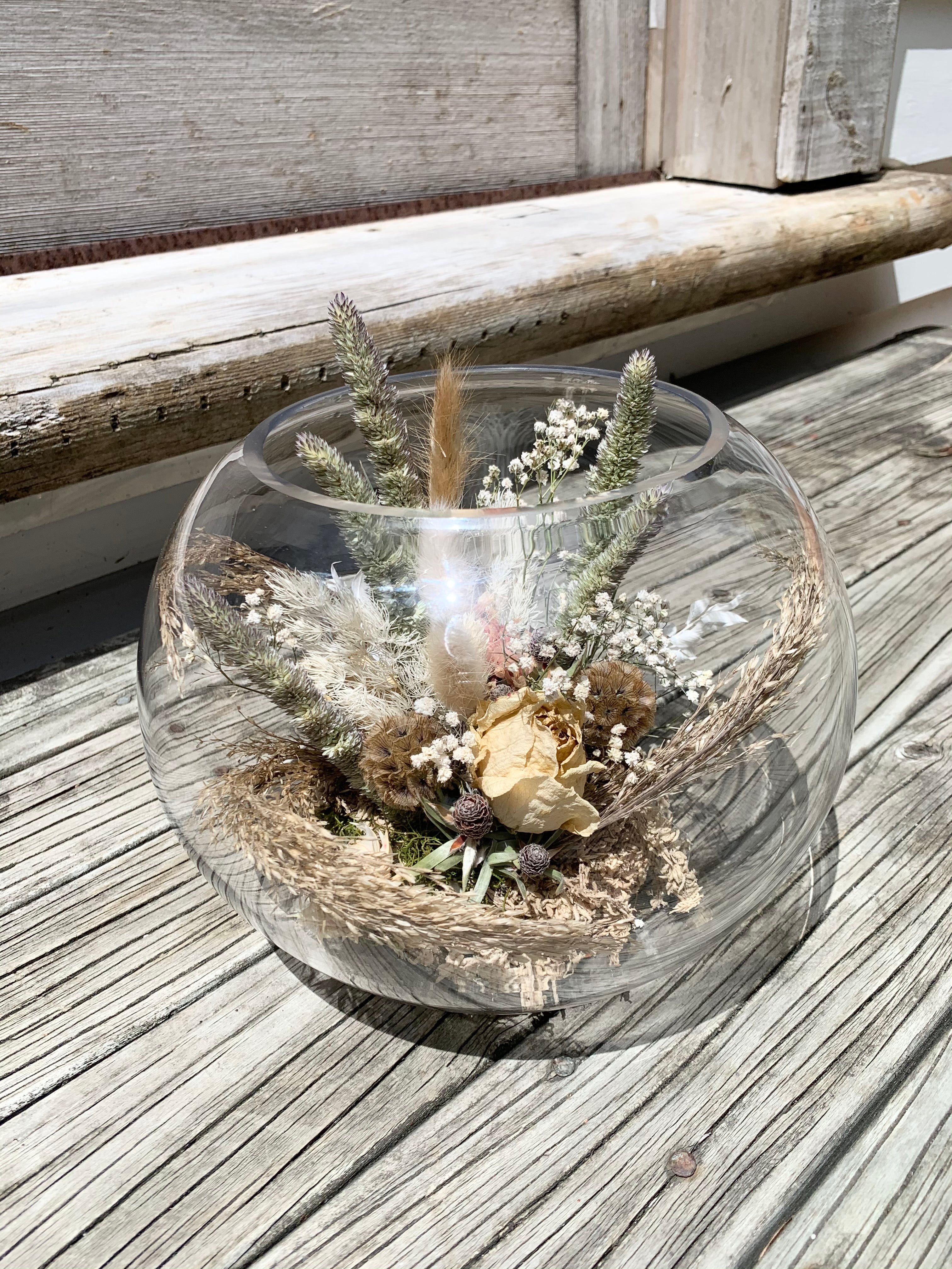 Dried Terrarium