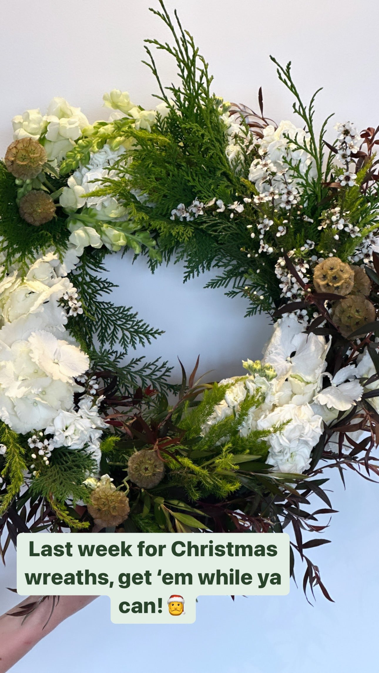 Festive Wreath