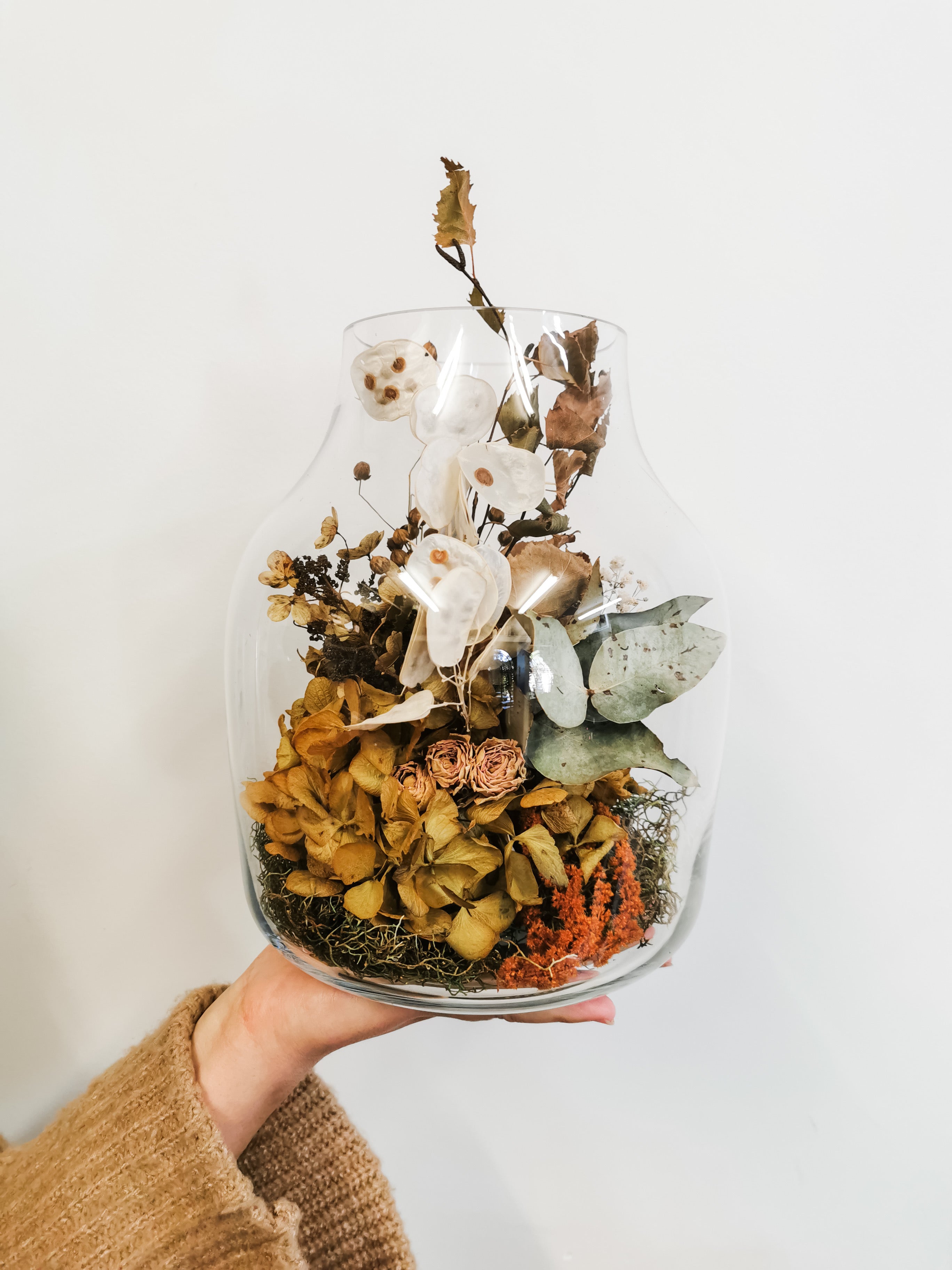 Dried Terrarium