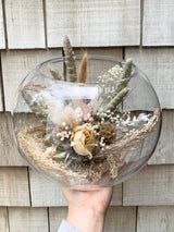 Dried Terrarium