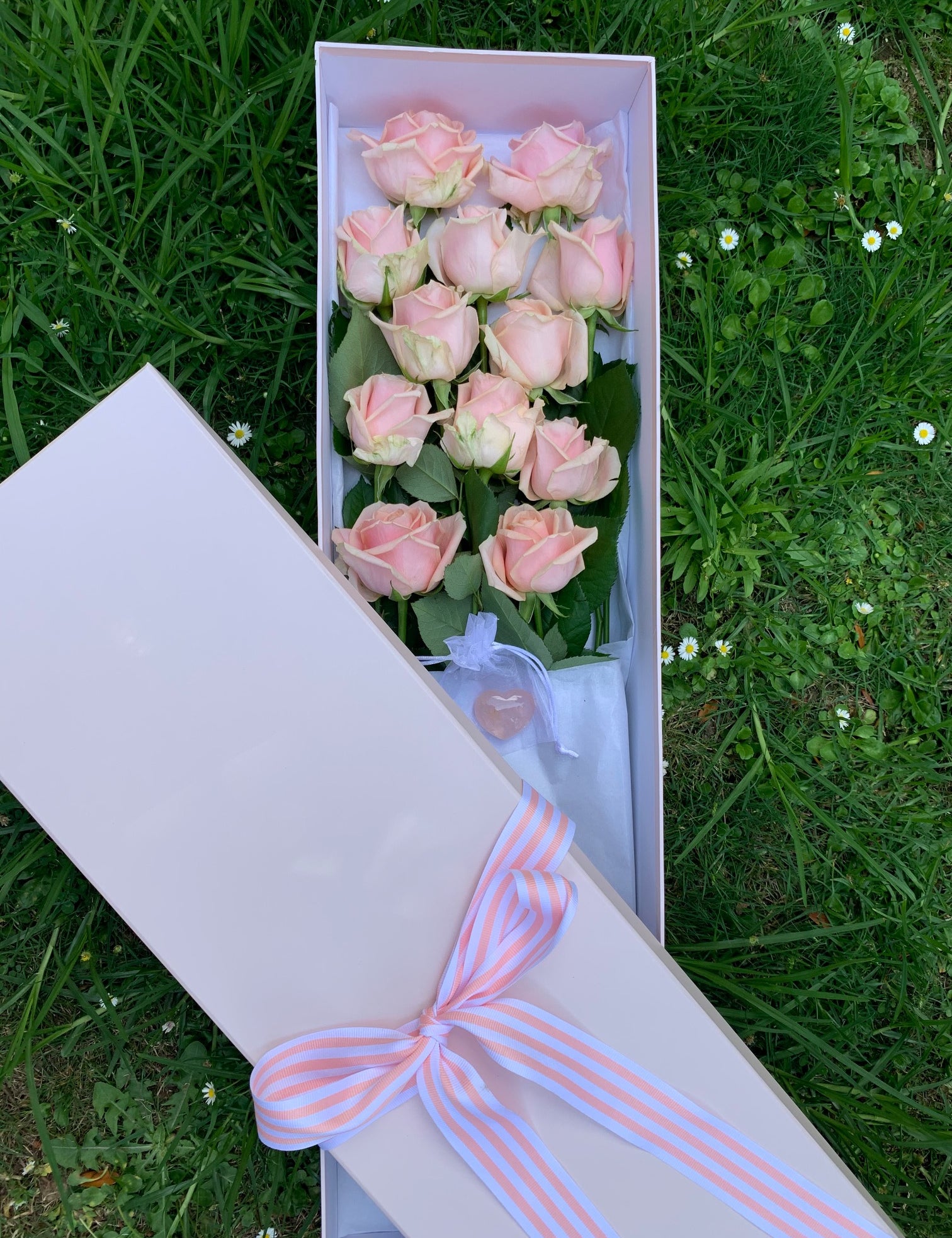 pinkboxedroses.jpg
