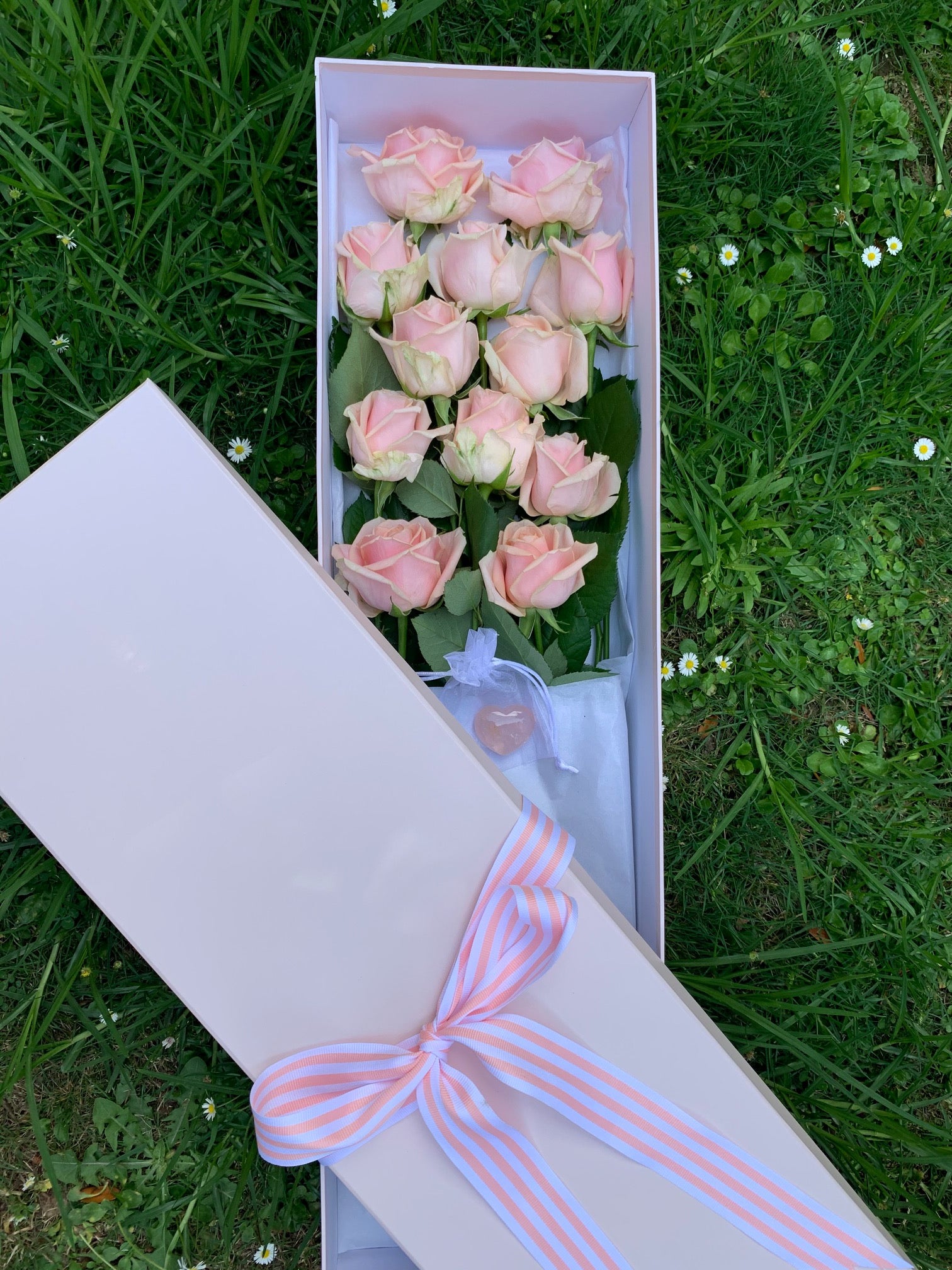 Dozen Blush Pink Roses in a box